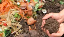 10 Amazing Composting Tips for Beginners