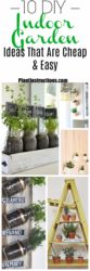 10 Indoor Garden Ideas That Are Cheap and Easy - Plant Instructions
