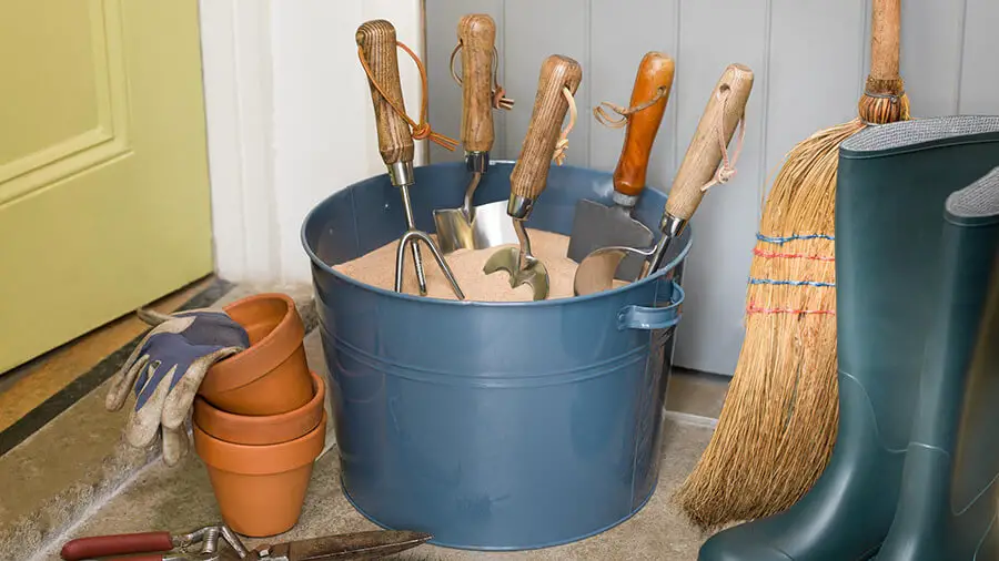 5 Must-Have Gardening Tools for Any Green Thumb
