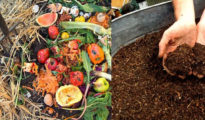 The Science Behind Composting: Turning Kitchen Scraps into Nutrient-Rich Soil