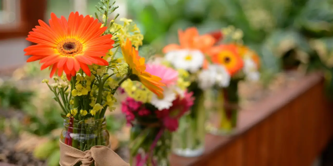How to Keep Cut Flowers Fresh: A Guide to Making Cut Flowers Last Longer