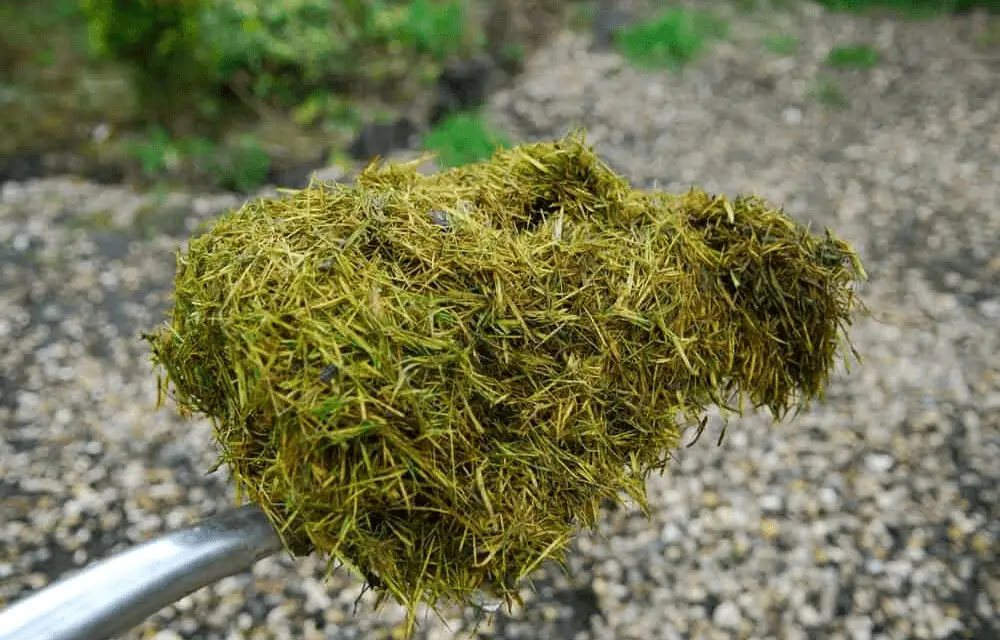 7 Ingenious Ways to Reuse Grass Clippings and Embrace Sustainable Gardening