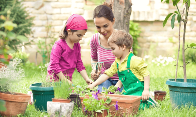 The Therapeutic Benefits of Gardening: How It Can Improve Your Mental and Physical Health