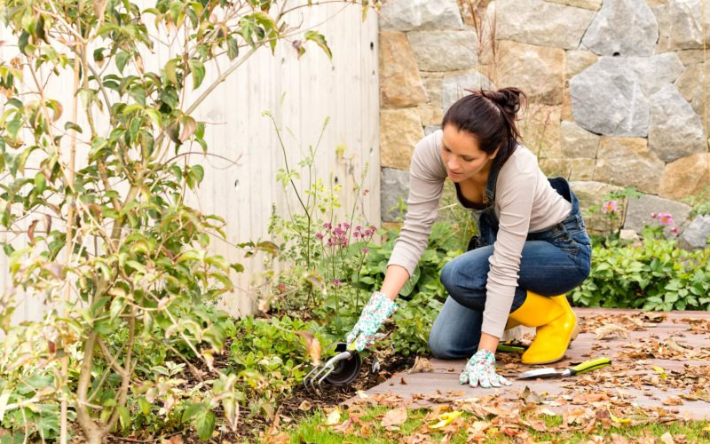 Fall Gardening Checklist: Tasks to Wrap Up the Season