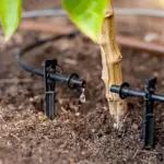 Drip Irrigation for Beginners: Efficient Watering for Your Plants